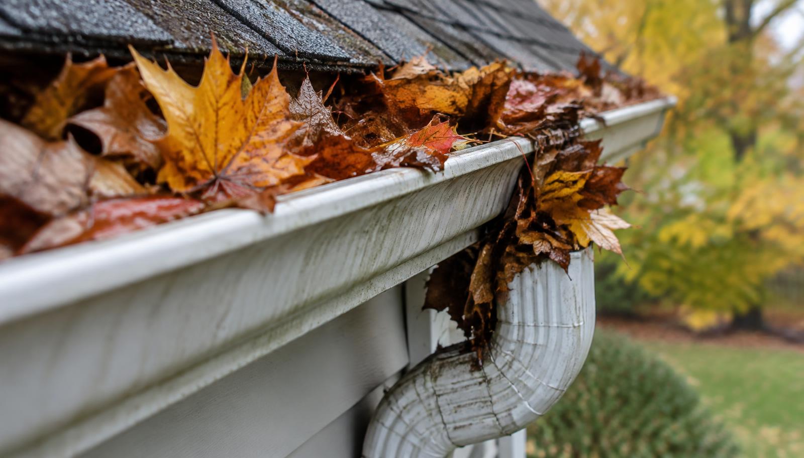 Fall Home Tour Checklist for Alexander County Buyers