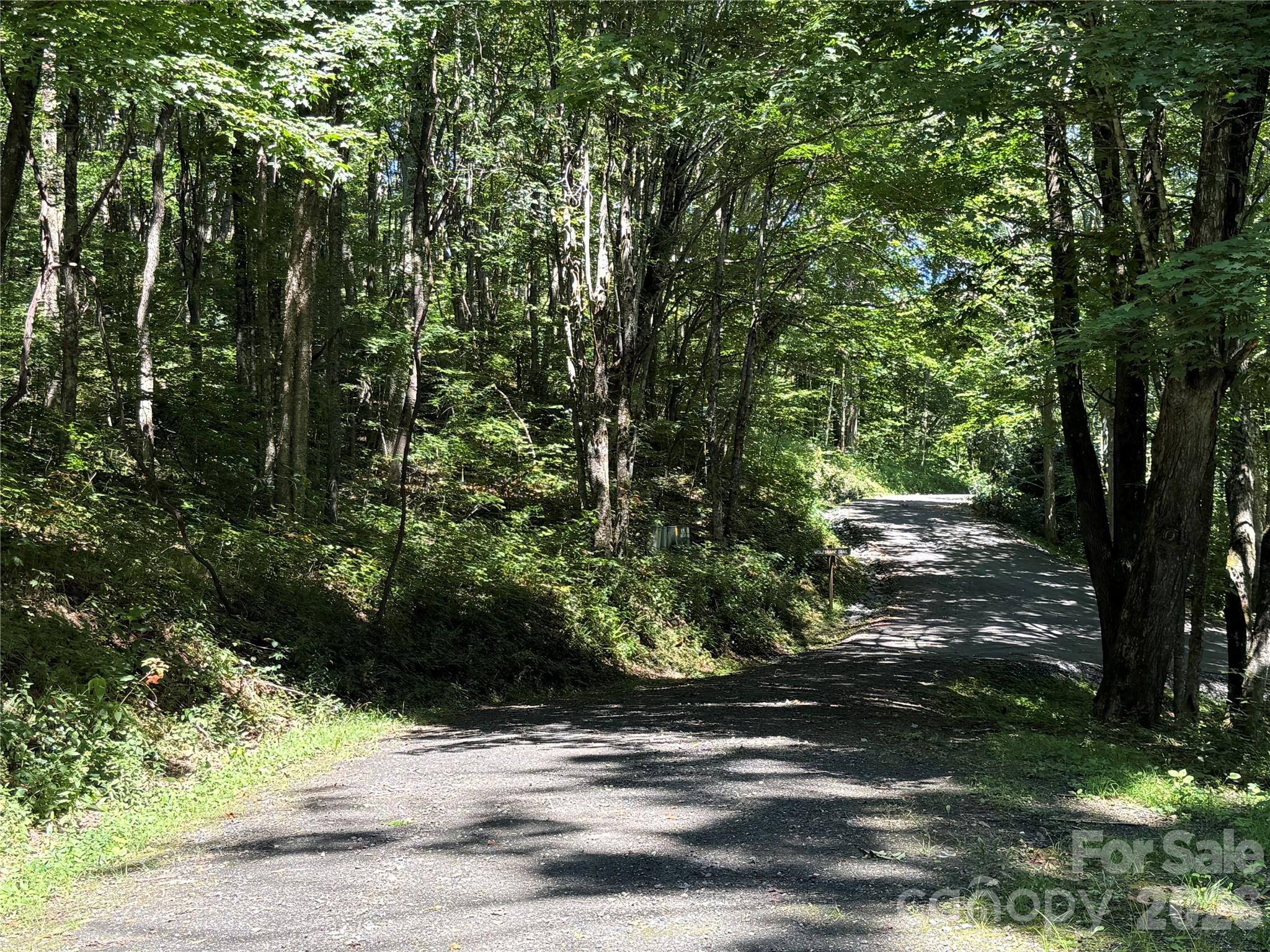 7 Wolfsbane Trail