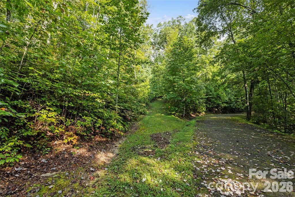 TBD Barts Branch Drive