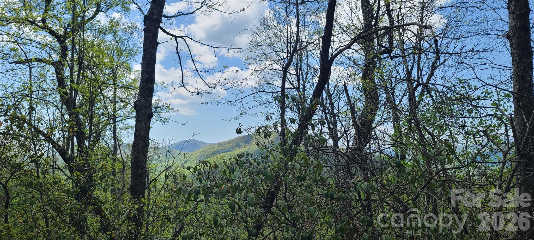 102 High Cliffs Trail