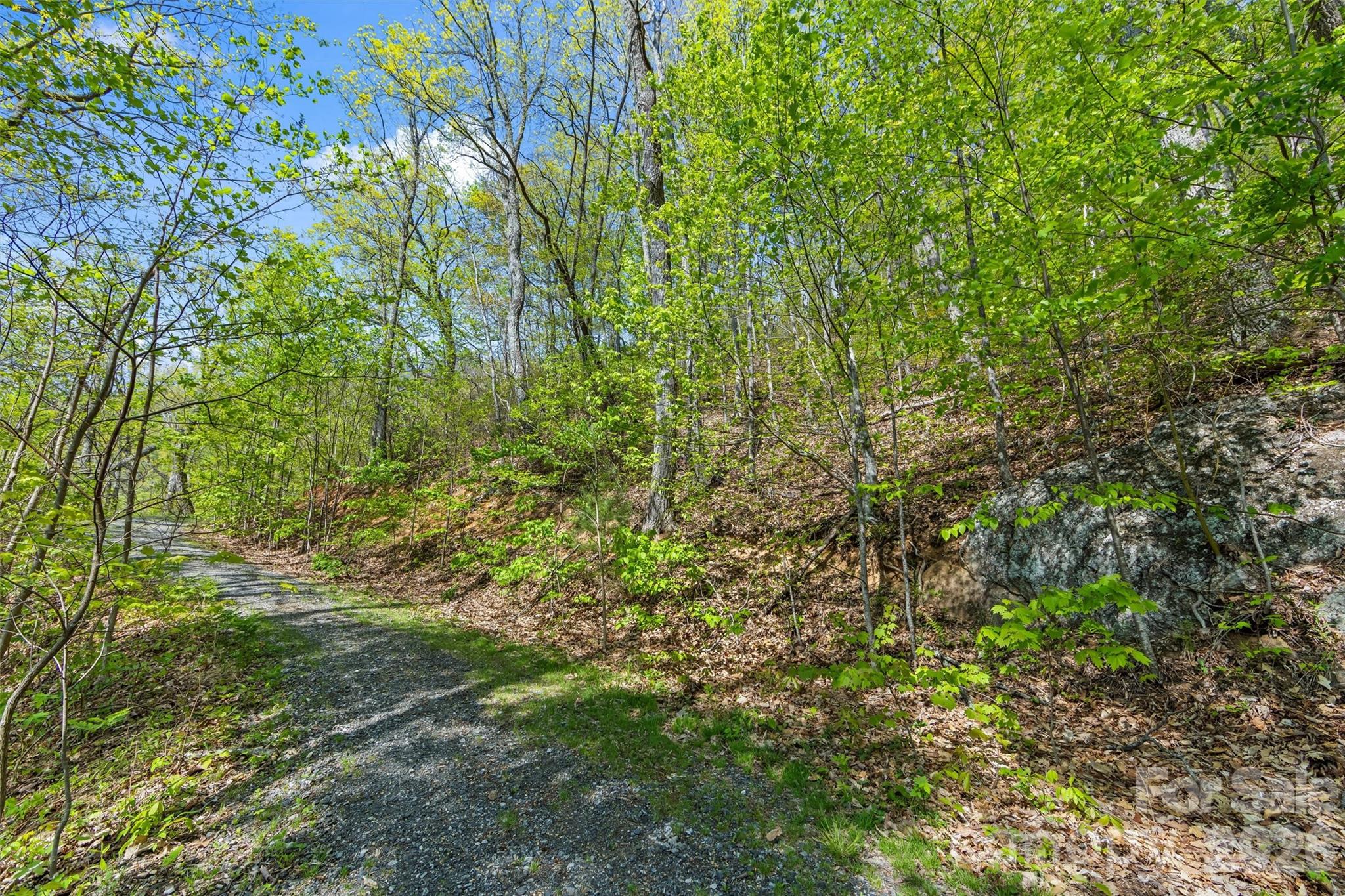 21 Reillys Bluff Road