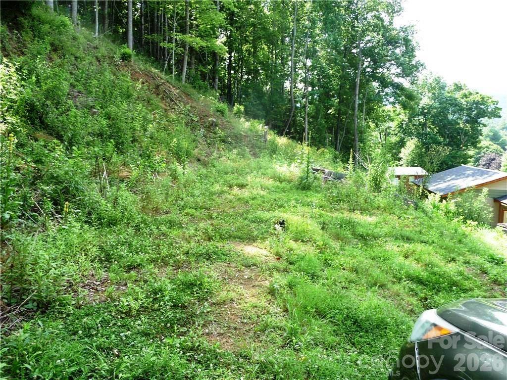 870 Bairds Creek Road