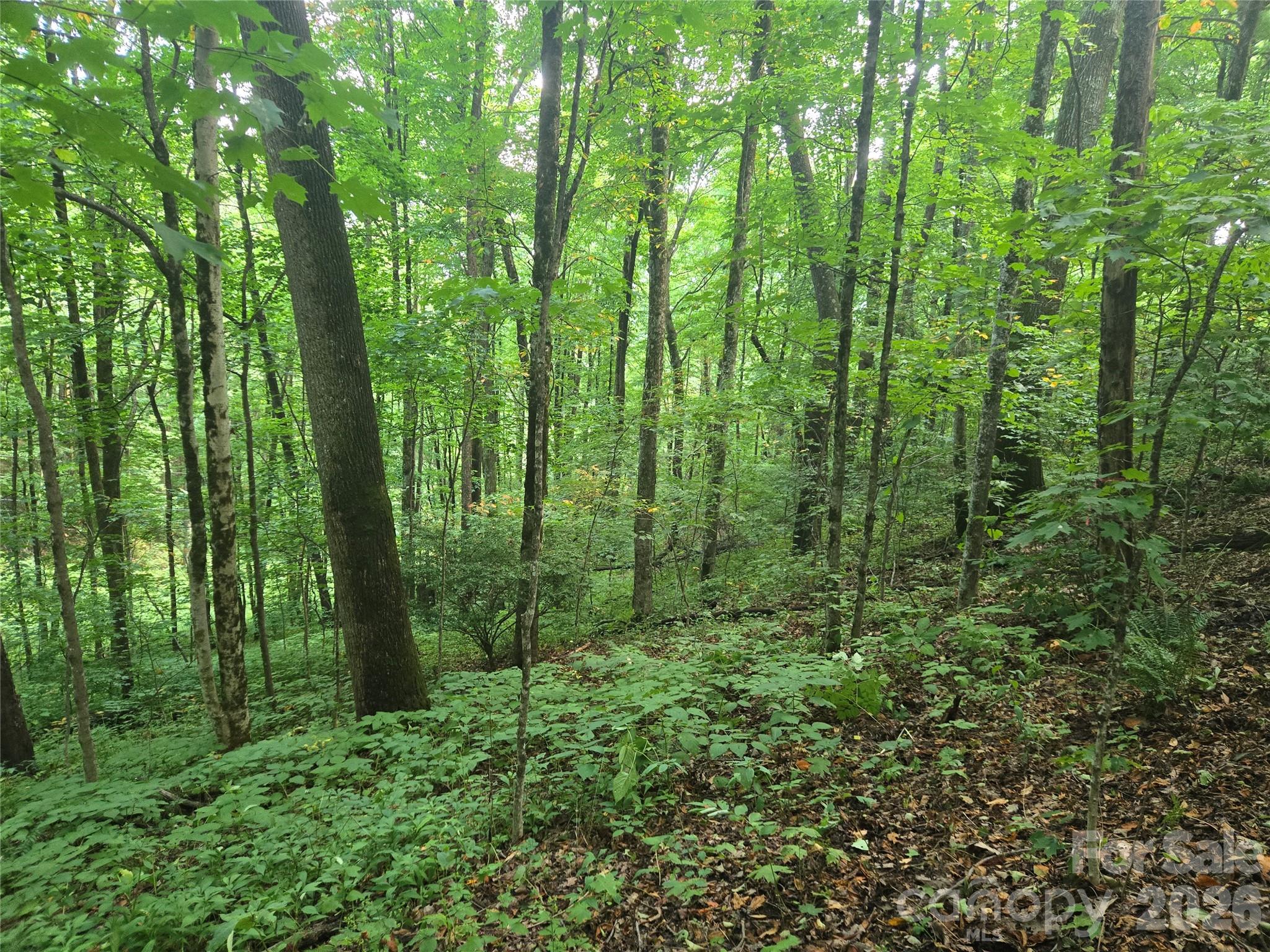 000 Rosemount Road