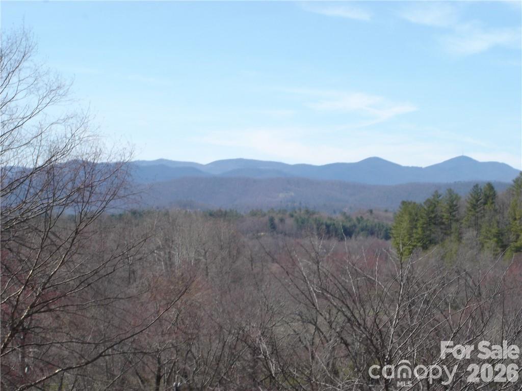 Lot #12 Cummings Cove Parkway