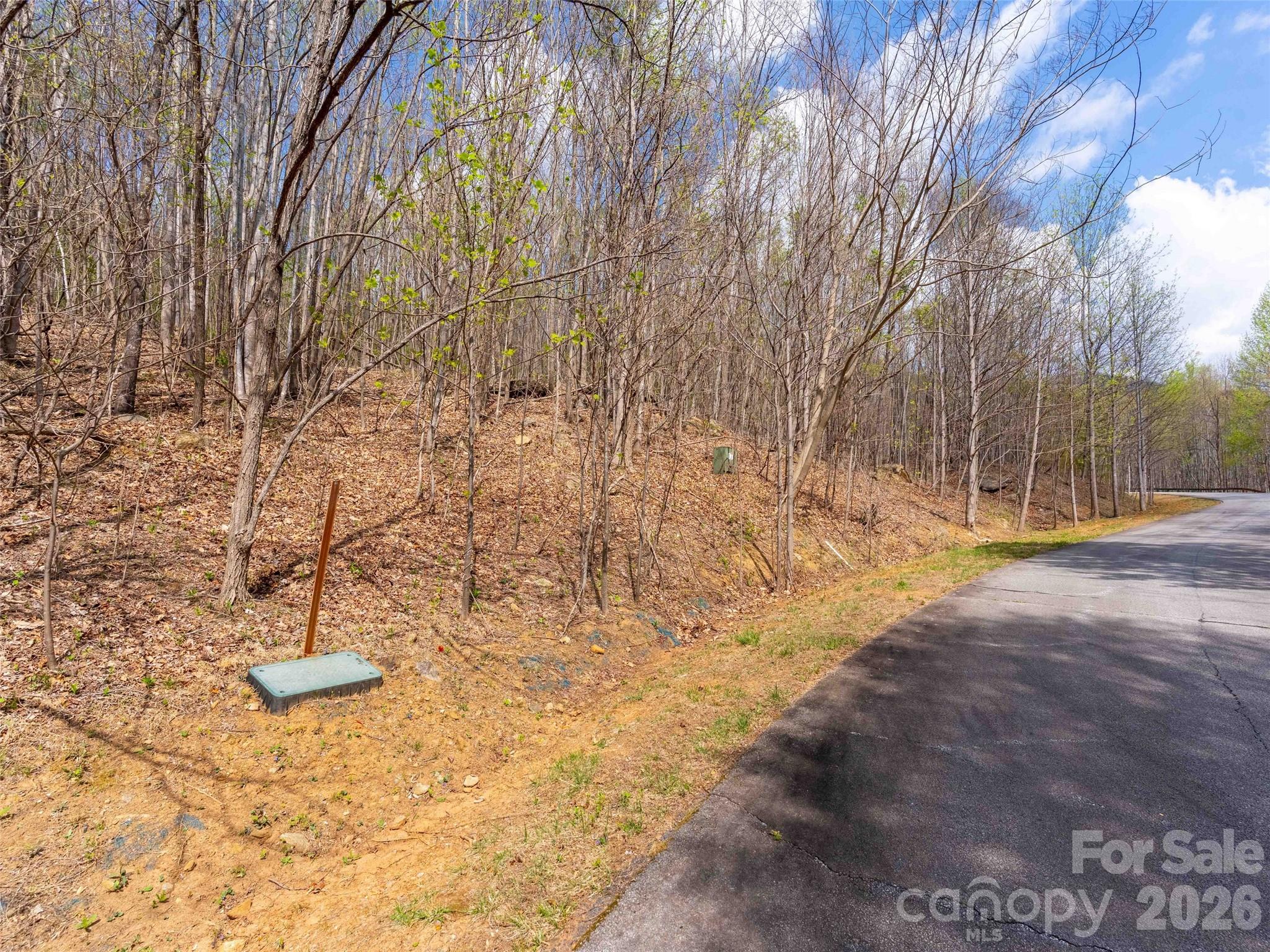 Lot 196 Cherry Hill