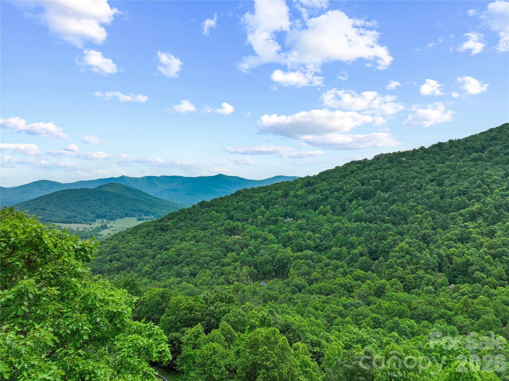 99999 Winding Poplar Road, Black Mountain
