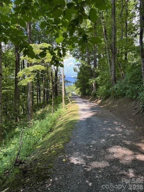 Lot 49 Rocky Ridge Road, Balsam