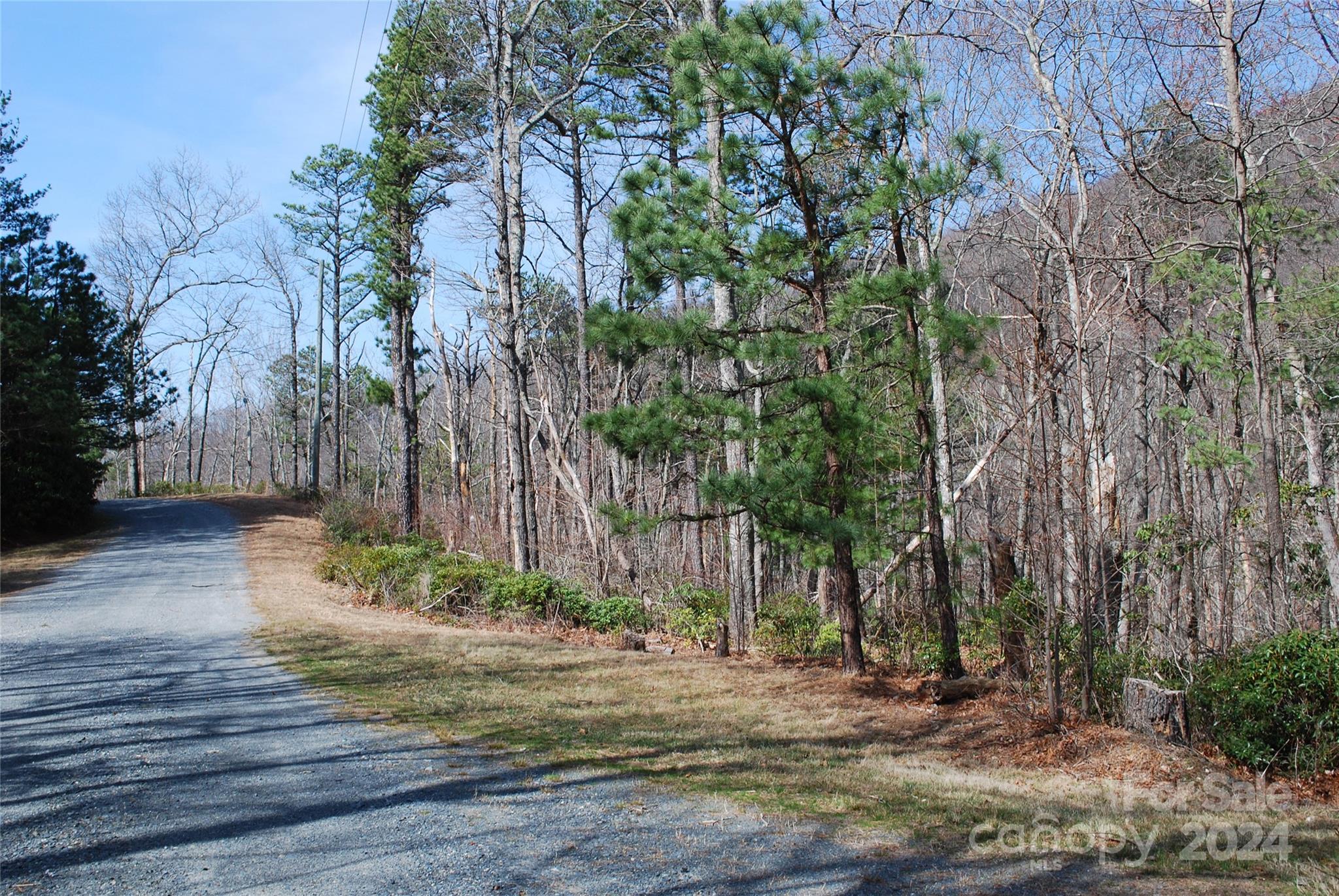 Lot 37 TBD Dugger Firetower Road