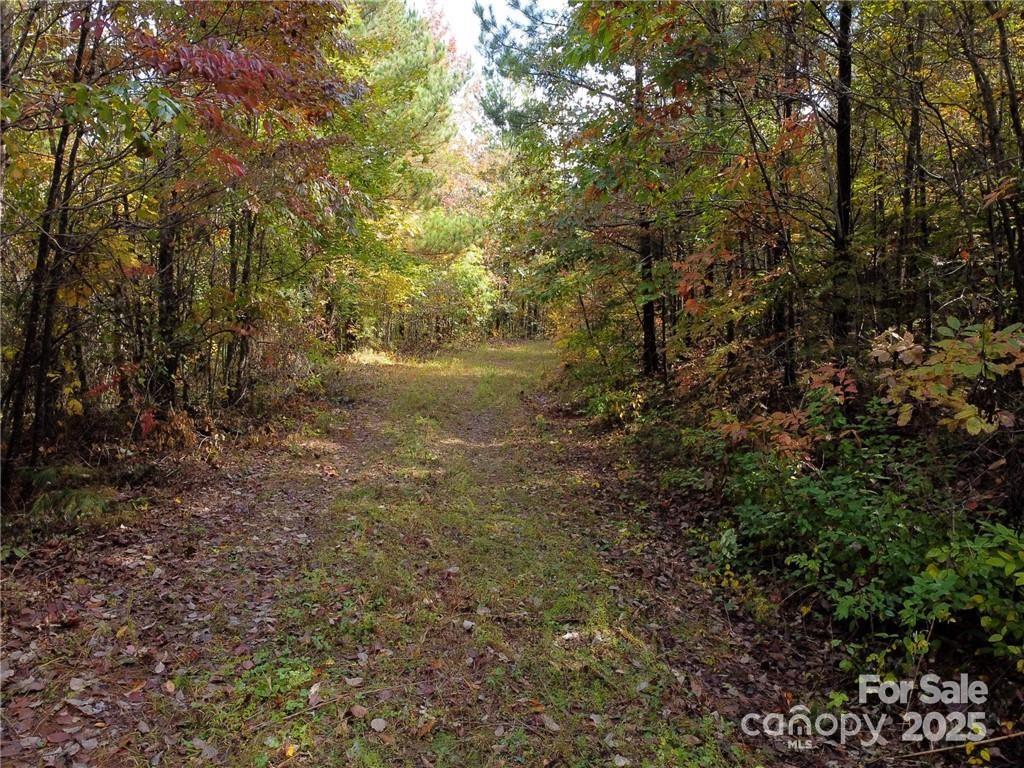 00 Sunny Ridge Lane