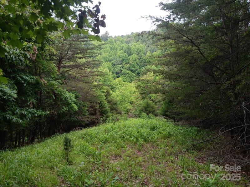 2255 NC Hwy 268 Highway, Wilkesboro