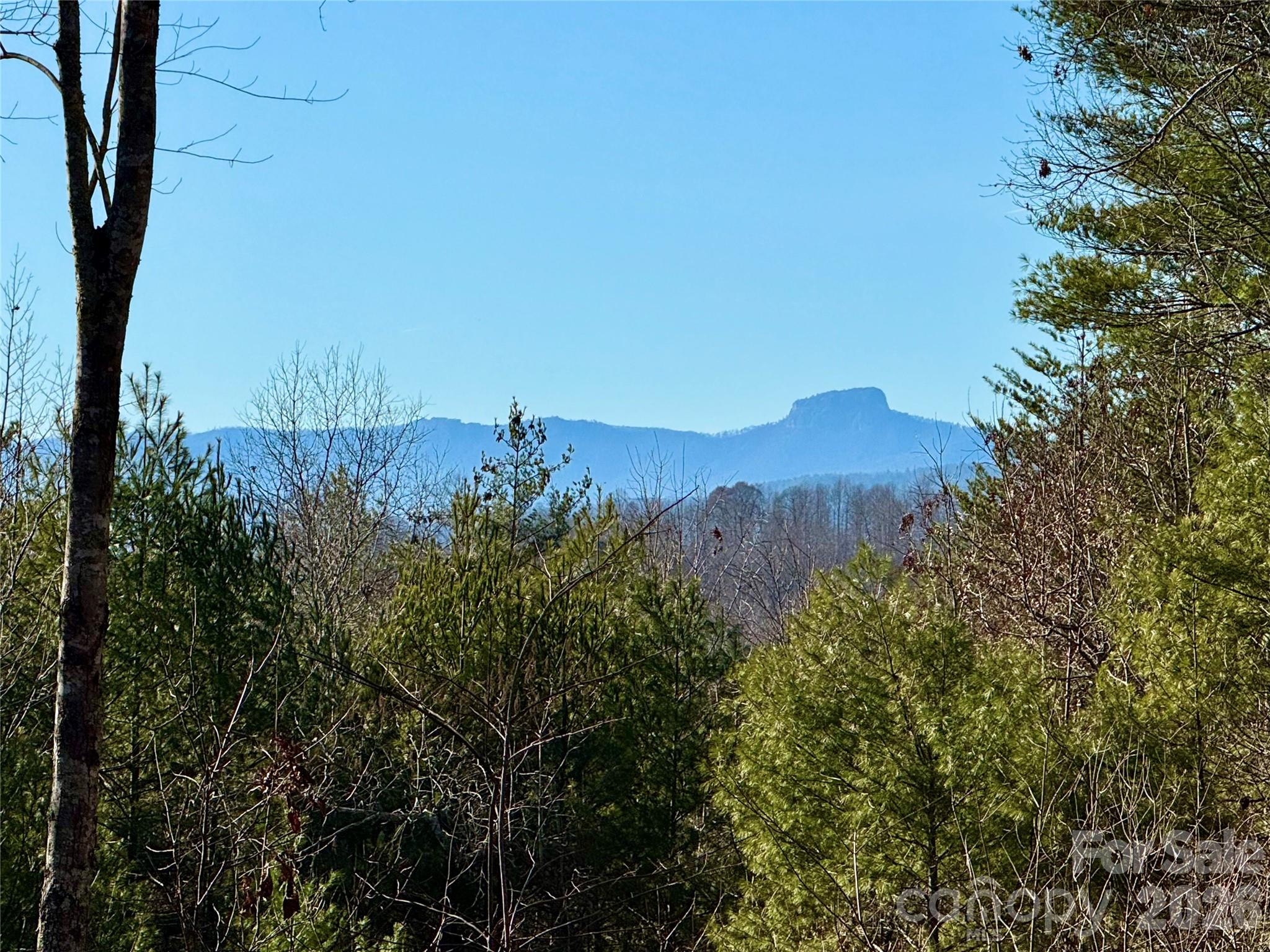 54.2 acres, Lot 837 High Valley Way #837